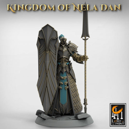 Elven Pretorians - Kingdom of Nela Dan