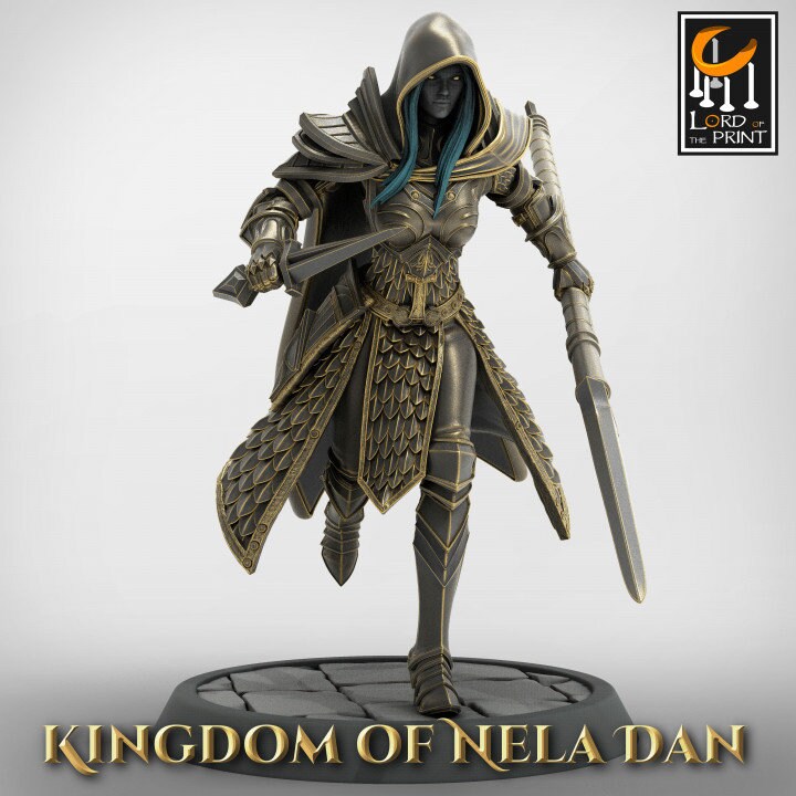Elven Infantery - Kingdom of Nela Dan