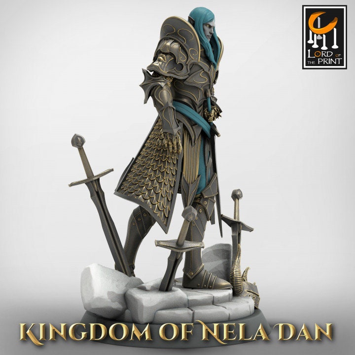 Elven Lord - Kingdom of Nela Dan
