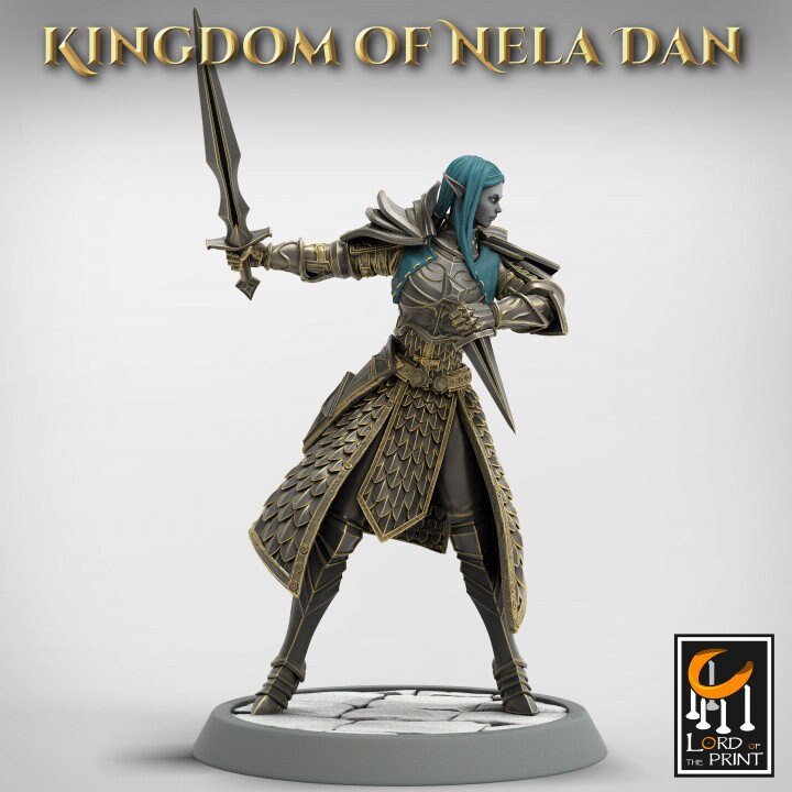 Elven Infantery - Kingdom of Nela Dan