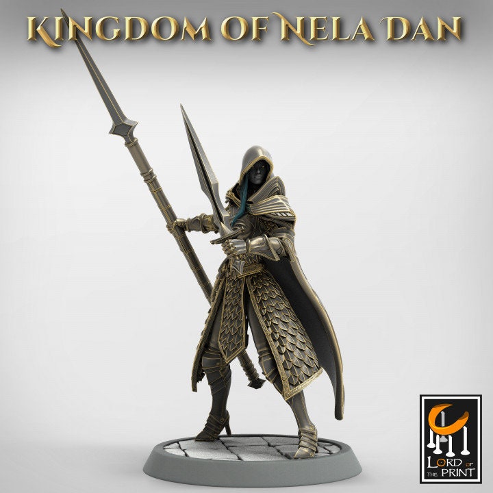 Elven Infantery - Kingdom of Nela Dan
