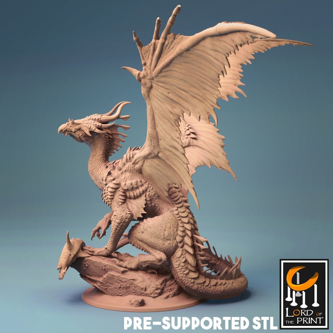 Elder Bronze Dragon
