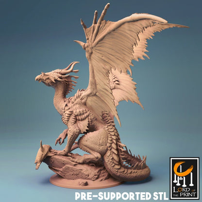 Elder Bronze Dragon