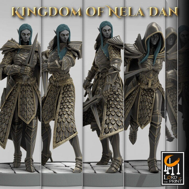 Elven Infantery - Kingdom of Nela Dan