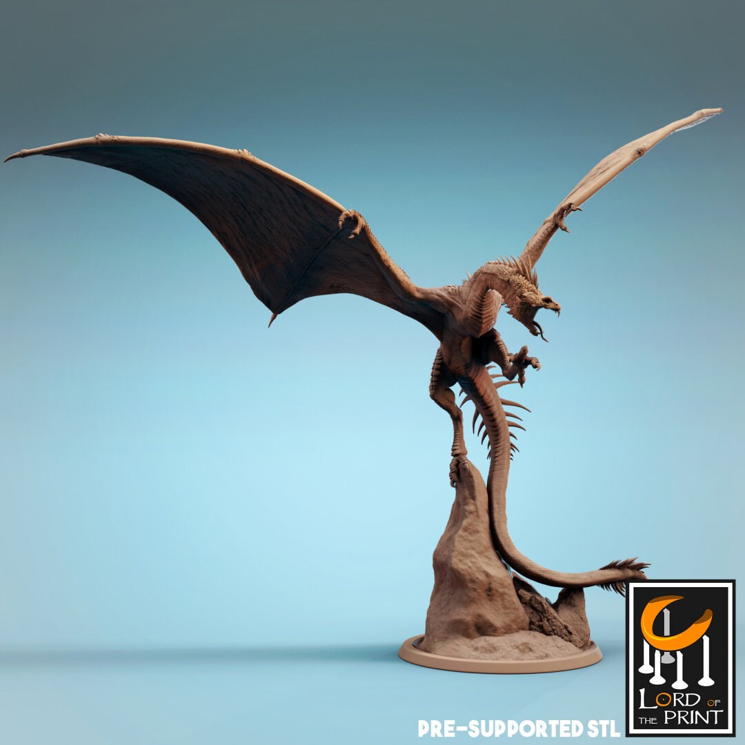 Vouivre Drone