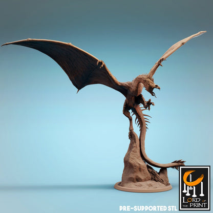 Vouivre Drone