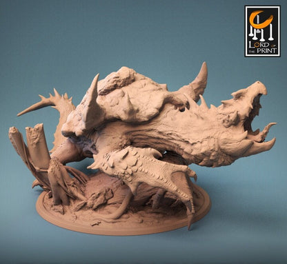 Dragon Turtle