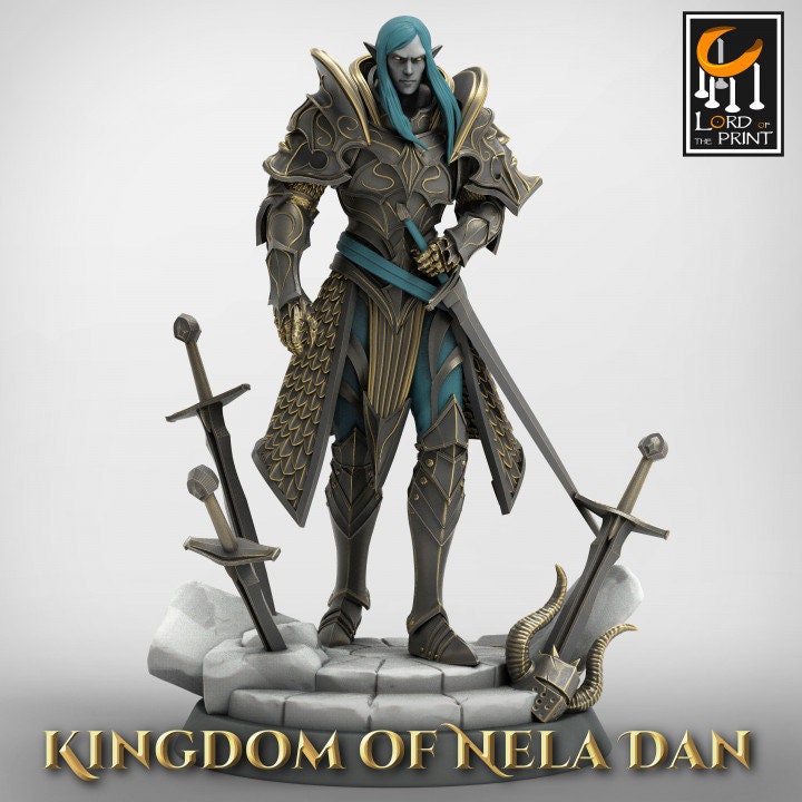 Elven Lord - Kingdom of Nela Dan