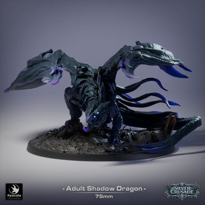 Adult Shadow Dragon - Silver Crusade