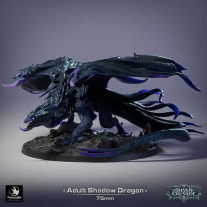 Adult Shadow Dragon - Silver Crusade