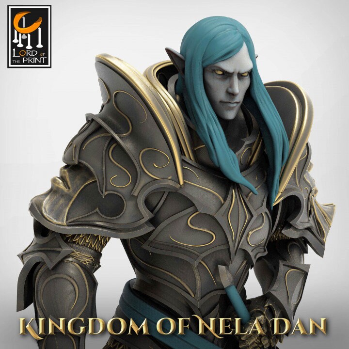 Elven Lord - Kingdom of Nela Dan