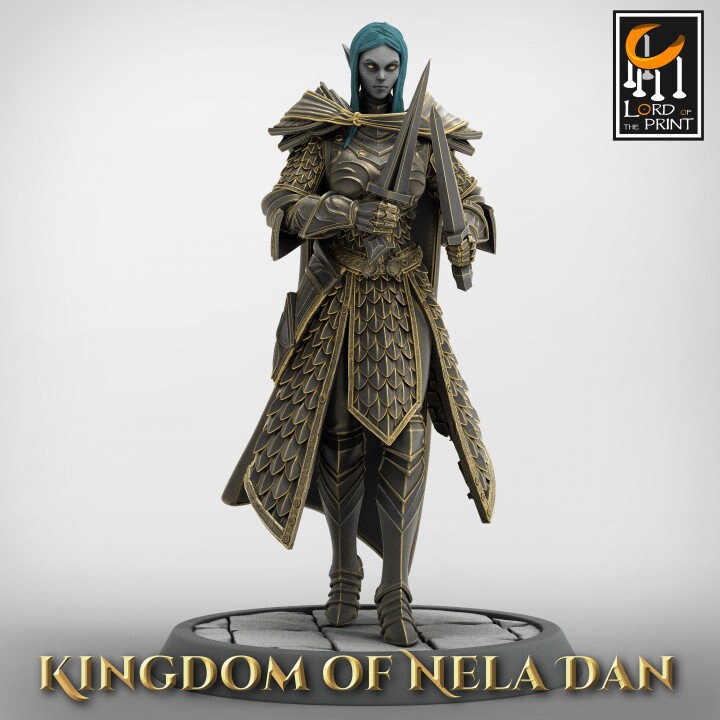 Elven Infantery - Kingdom of Nela Dan