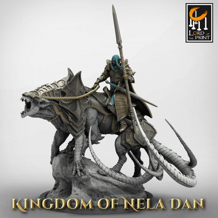 Elven Lord - Kingdom of Nela Dan