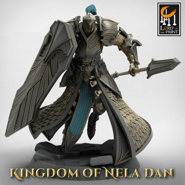 Elven Pretorians - Kingdom of Nela Dan