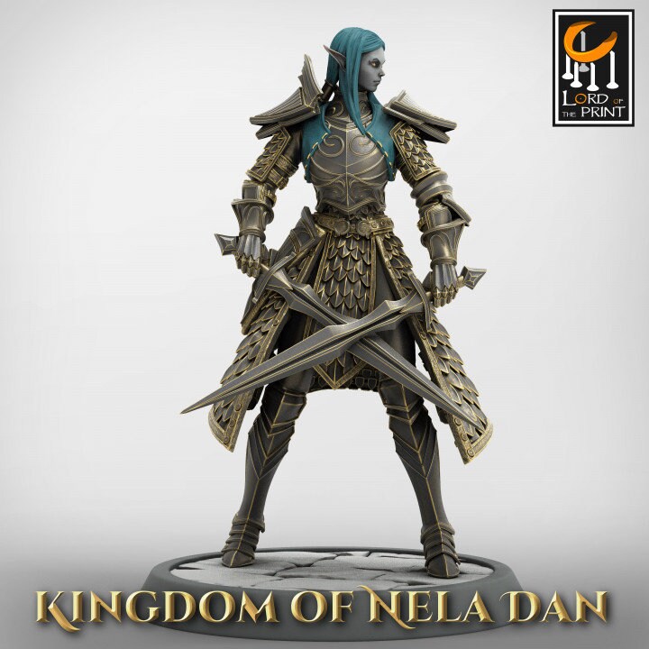 Elven Infantery - Kingdom of Nela Dan