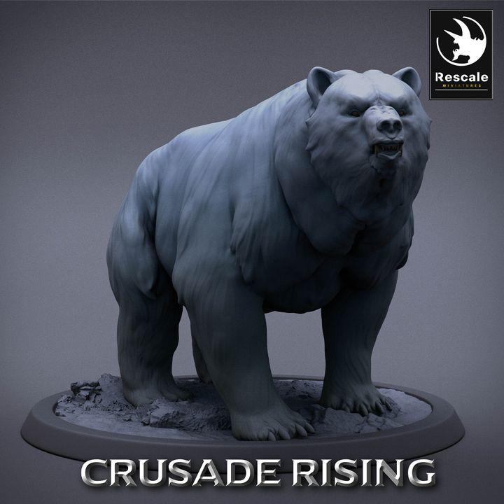 Wild Bear - Crusade Rising