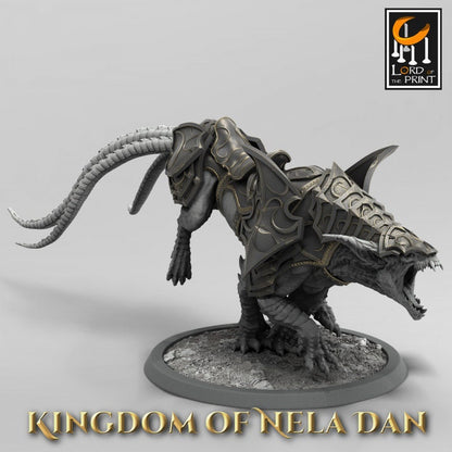 Siri - Kingdom of Nela Dan