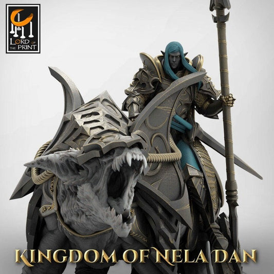 Elven Lord - Kingdom of Nela Dan