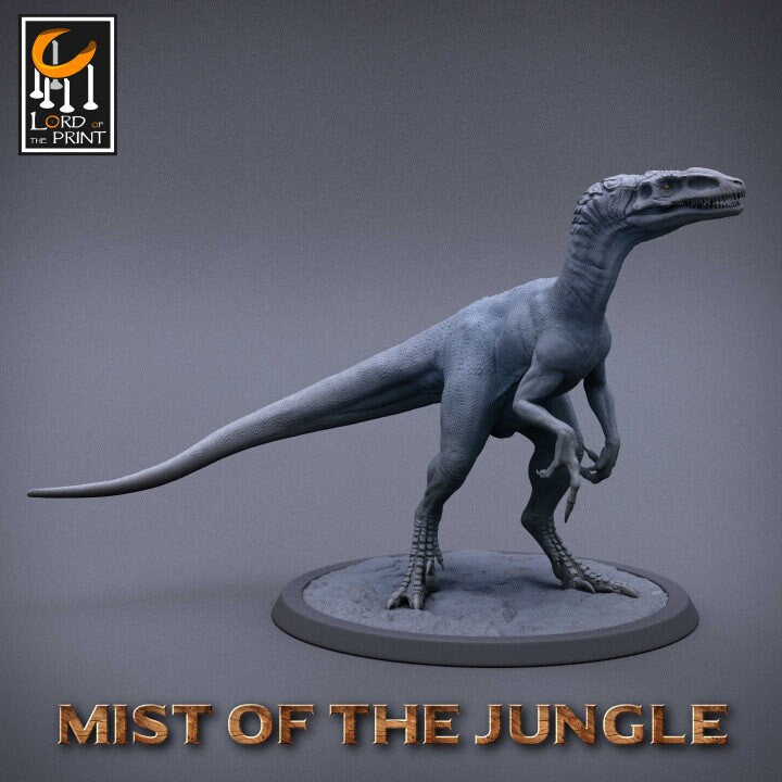Raptor - Mist of the Jungle