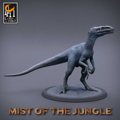 Raptor - Mist of the Jungle
