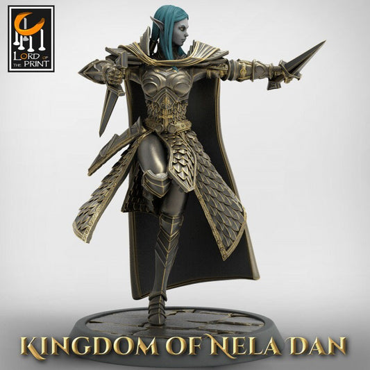 Elven Infantery - Kingdom of Nela Dan