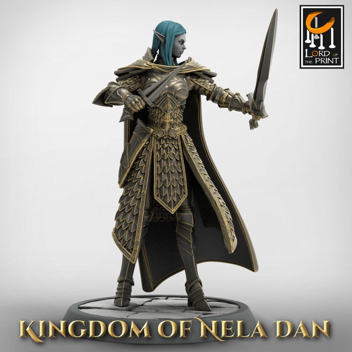 Elven Infantery - Kingdom of Nela Dan