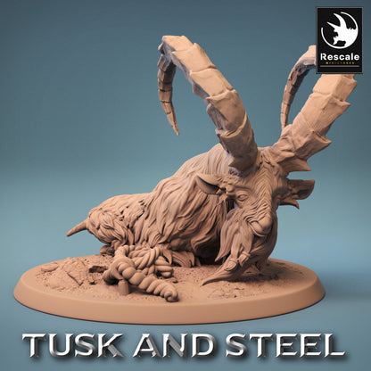 Mountain Goats - Tusk and Steel