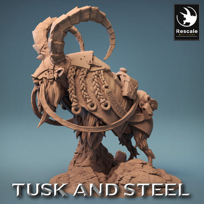 Mountain Goats - Tusk and Steel