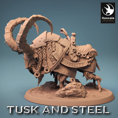 Mountain Goats - Tusk and Steel
