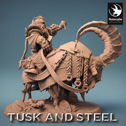 Mountain Goats - Tusk and Steel