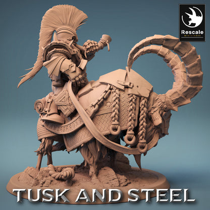 Mountain Goats - Tusk and Steel