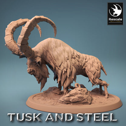 Mountain Goats - Tusk and Steel