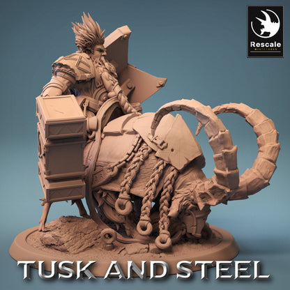 Mountain Goats - Tusk and Steel