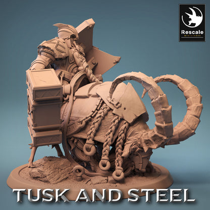 Mountain Goats - Tusk and Steel