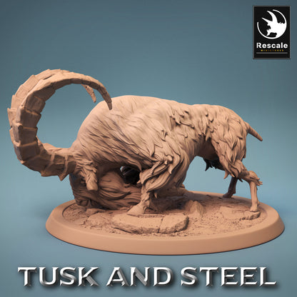 Mountain Goats - Tusk and Steel