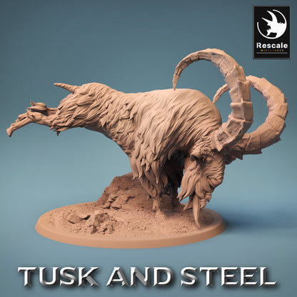 Mountain Goats - Tusk and Steel