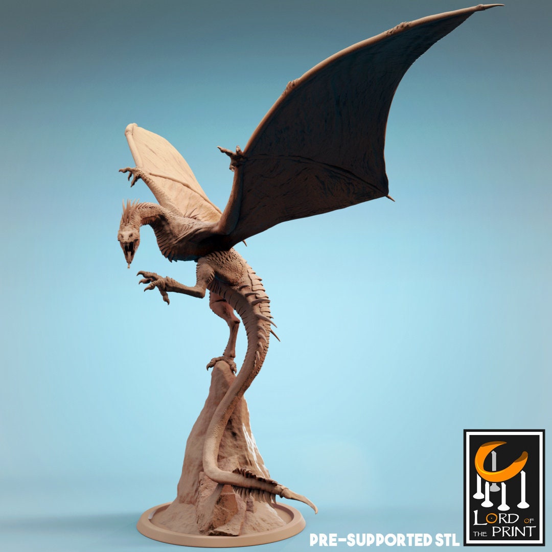 Vouivre Drone