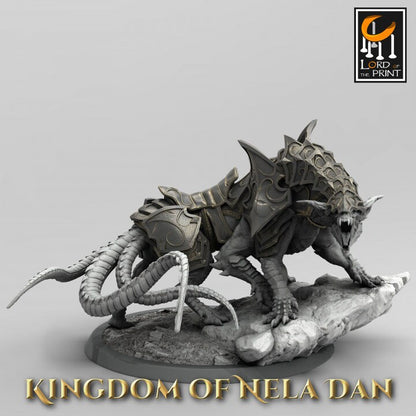 Siri - Kingdom of Nela Dan