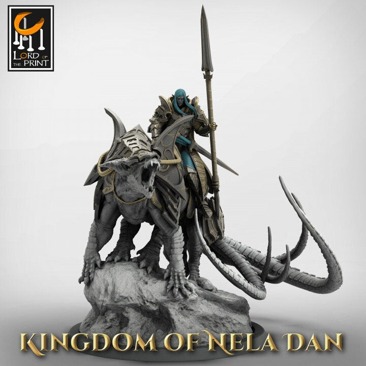 Elven Lord - Kingdom of Nela Dan